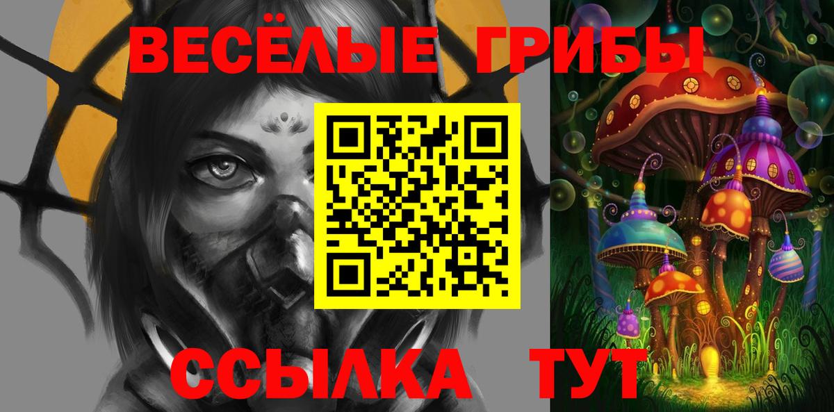 LSD-25 Клинцы