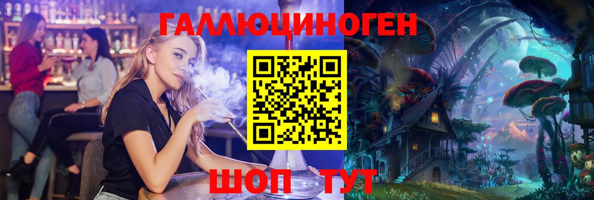 как найти   Вход с VPN  Клинцы  Псилоцибиновые грибы GOLDEN TEACHER 
